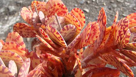 0216 (9).JPG 0216 (9).JPG