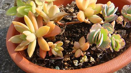 0216 (45).JPG 0216 (45).JPG