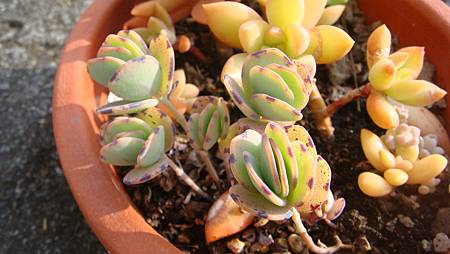 0216 (46).JPG 0216 (46).JPG