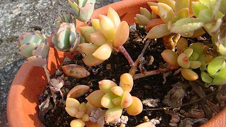 0216 (47).JPG 0216 (47).JPG