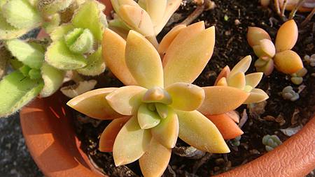 0216 (48).JPG 0216 (48).JPG