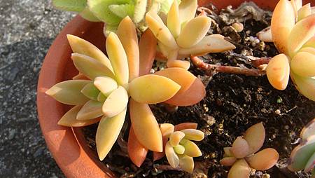 0216 (49).JPG 0216 (49).JPG