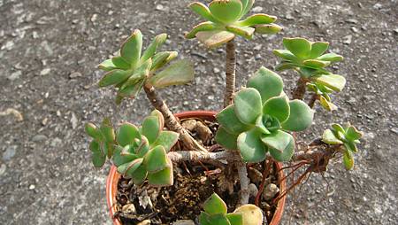 0216 (56).JPG 0216 (56).JPG