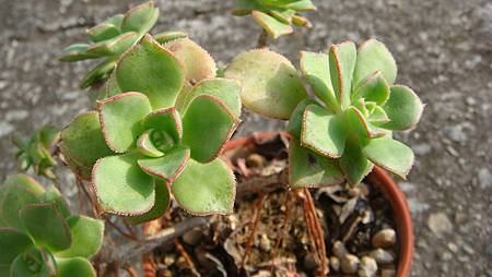 0216 (57).JPG 0216 (57).JPG