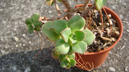 0216 (58).JPG 0216 (58).JPG