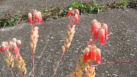 0216 (16).JPG 0216 (16).JPG