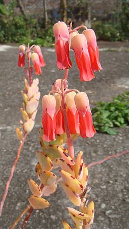 0216 (17).JPG 0216 (17).JPG