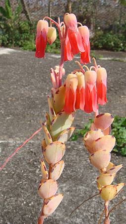 0216 (18).JPG 0216 (18).JPG