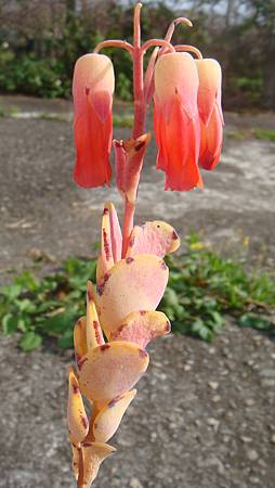 0216 (19).JPG 0216 (19).JPG