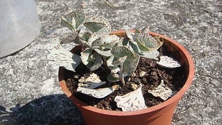 0216 (85).JPG 0216 (85).JPG