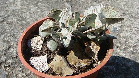 0216 (86).JPG 0216 (86).JPG