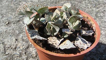 0216 (88).JPG 0216 (88).JPG