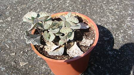 0216 (89).JPG 0216 (89).JPG