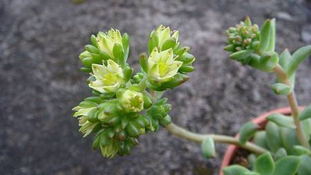 DSC03549.JPG DSC03549.JPG