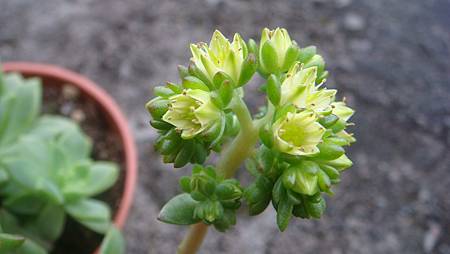 DSC03550.JPG DSC03550.JPG