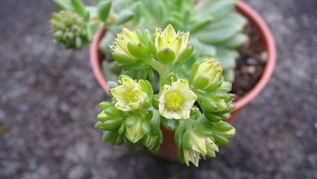 DSC03557.JPG DSC03557.JPG