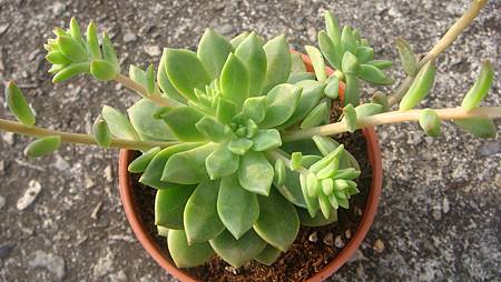 DSC03666.JPG DSC03666.JPG