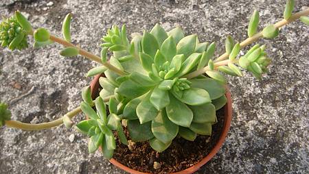 DSC03670.JPG DSC03670.JPG