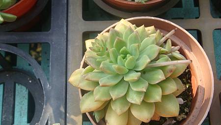 DSC03599.JPG DSC03599.JPG