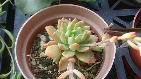 DSC03600.JPG DSC03600.JPG