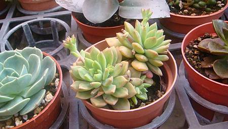 DSC03626.JPG DSC03626.JPG