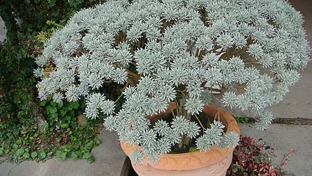 DSC03244.JPG DSC03244.JPG