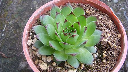 DSC03539.JPG DSC03539.JPG