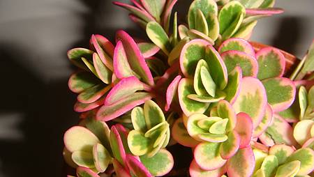 DSC03587.JPG DSC03587.JPG