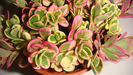 DSC03589.JPG DSC03589.JPG