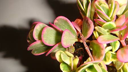 DSC03591.JPG DSC03591.JPG