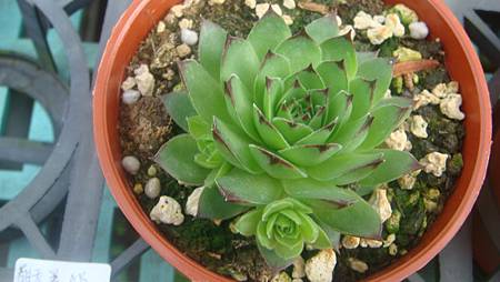 DSC03604.JPG DSC03604.JPG