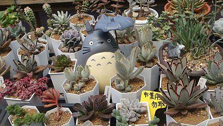 DSC03882.JPG DSC03882.JPG