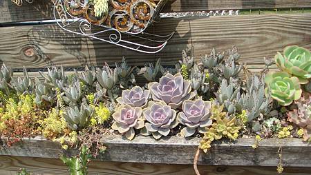 DSC03934.JPG DSC03934.JPG