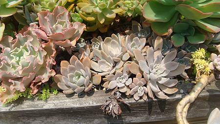 DSC03935.JPG DSC03935.JPG