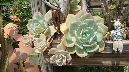 DSC03936.JPG DSC03936.JPG