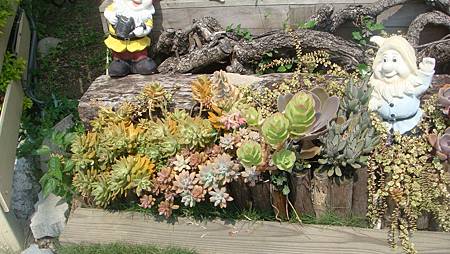 DSC03938.JPG DSC03938.JPG