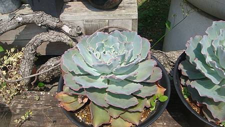 DSC03940.JPG DSC03940.JPG