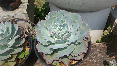 DSC03941.JPG DSC03941.JPG