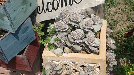 DSC03943.JPG DSC03943.JPG