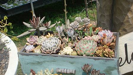 DSC03944.JPG DSC03944.JPG