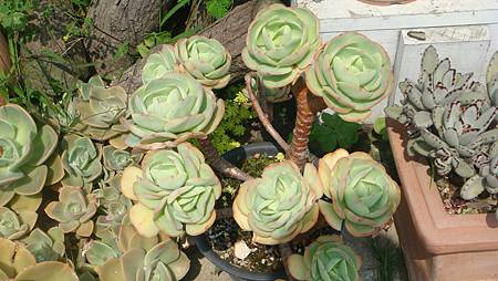 DSC03948.JPG DSC03948.JPG