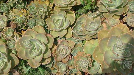 DSC03949.JPG DSC03949.JPG