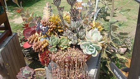 DSC03950.JPG DSC03950.JPG