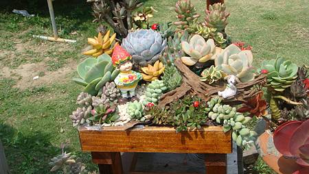 DSC03952.JPG DSC03952.JPG