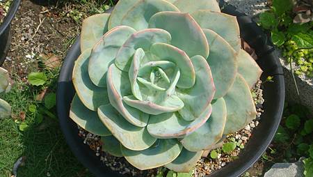 DSC03956.JPG DSC03956.JPG