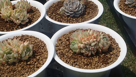 DSC03963.JPG DSC03963.JPG