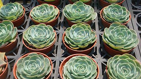 DSC03902.JPG DSC03902.JPG