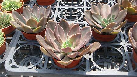 DSC03914.JPG DSC03914.JPG