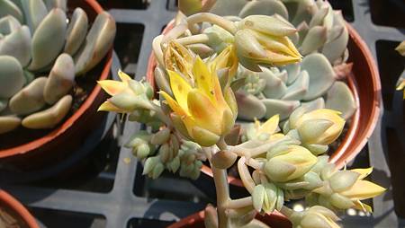 DSC03922.JPG DSC03922.JPG