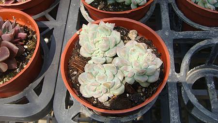 DSC03926.JPG DSC03926.JPG